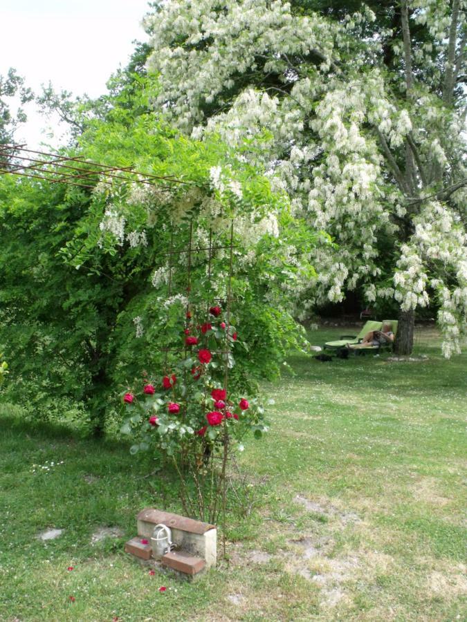 Les Hotes Landes Saint-Gor Εξωτερικό φωτογραφία